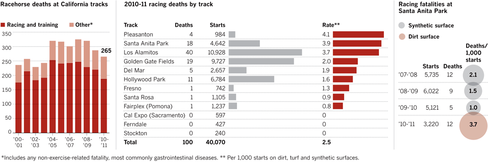 Racehorse deaths and injuries