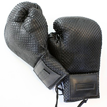 Black boa snake boxing gloves