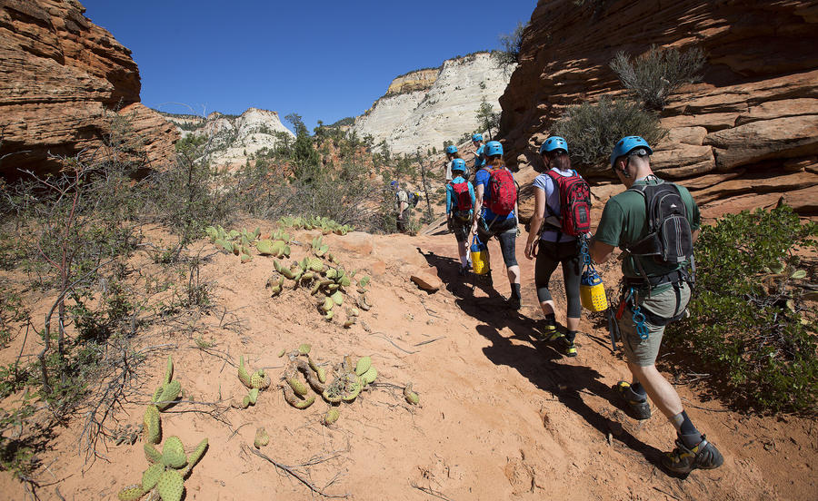 7 hikers died in zion national park flash flood